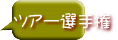 ツアー選手権