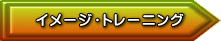 イメージ・トレーニング