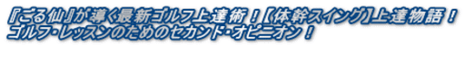 『ごる仙』が導く最新ゴルフ上達術！【体幹スイング】上達物語！ ゴルフ・レッスンのためのセカンド・オピニオン！  
